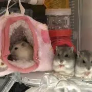 o0reio0の画像