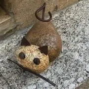 ちゃっぴの画像
