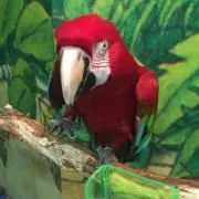 タヤコニマダ    プロフ必読