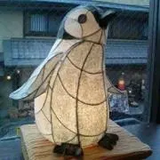 ヒロの画像