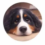 バーニーズ