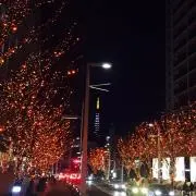 barra