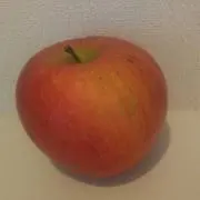 Ringoの画像