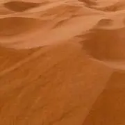 やしも   購入前はコメントください