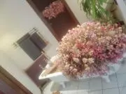 らーぬんぬんの画像