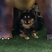 くぅ