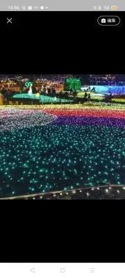 シカの画像