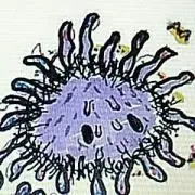 もっこもこの画像
