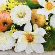 華紋の画像
