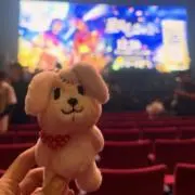 うさぎの画像