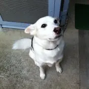 みんとすの画像