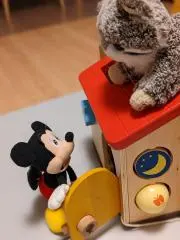 Hiro_yの画像