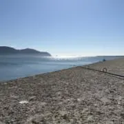 user_adf11296