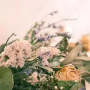 aporoの画像
