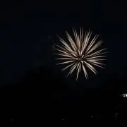 リズの画像