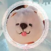 あきなの画像