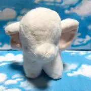MIKAの画像