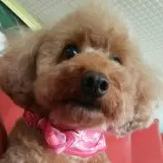 くう✩.*˚の画像
