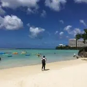 ポーイの画像