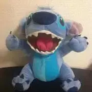 cutie