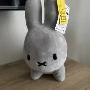 おまめの画像