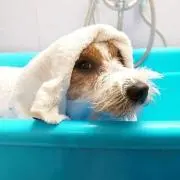 えなちゃんの画像