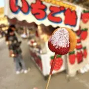KGMPの画像