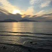 りゅうプロフ必読お願いしますの画像