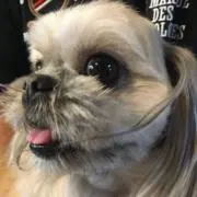 kankunの画像