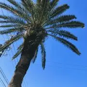 hikesurf_1121の画像