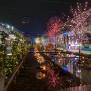 sanaの画像