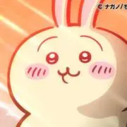 ウマうさぎの画像