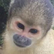 にこ(*^^*)