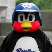 かいかい