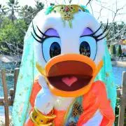 ひよこ♡プロフ必読の画像