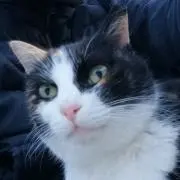 いーやん