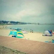 TYの画像