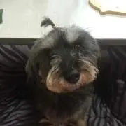 kohaku੯ੁૂ‧̀͡u\プロフ必読の画像