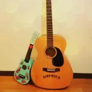 lotuspetalプロフお読みくださいの画像