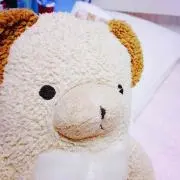 はらこ【冬物はお早めに！】