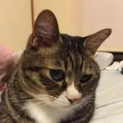 かおり