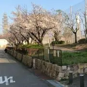 びとぅーの画像