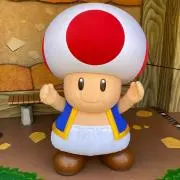 きのぴこの画像
