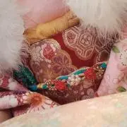 ととの画像