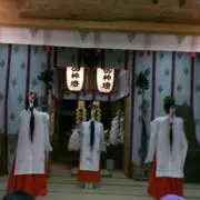 よっぴぃヾ(o´∀｀o)ノ
