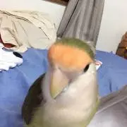 佑ちん