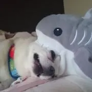 りなてん