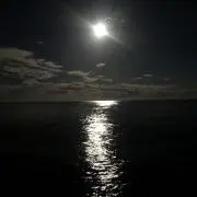 ポン酢
