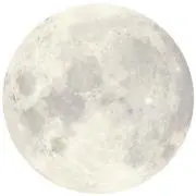 omochi.の画像