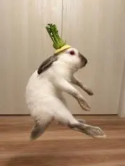 やとち